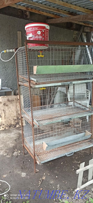 Chicken cage  - photo 1