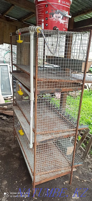 Chicken cage  - photo 2