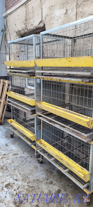 Cages for chickens.  - photo 2