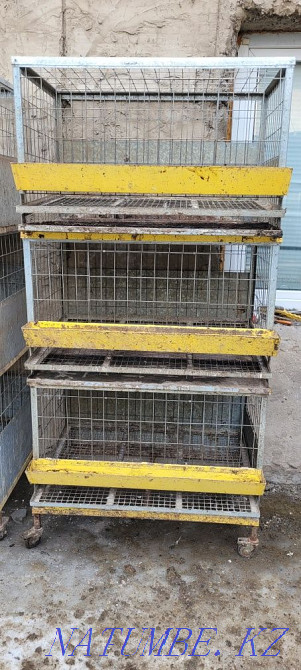 Cages for chickens.  - photo 1