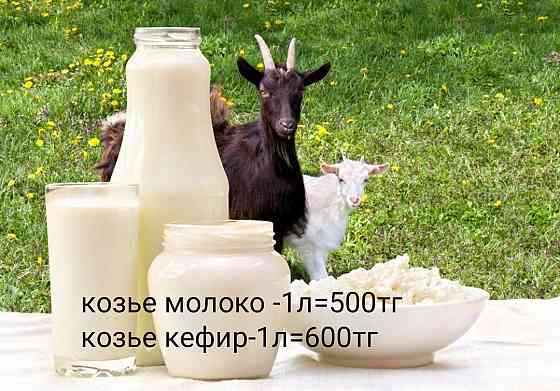 Козье молоко ///Ешки сути Кызылорда