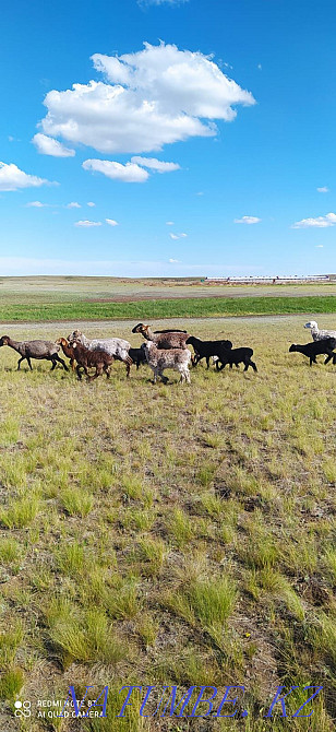 Гисар .Еділбай.ешкілер  - изображение 2