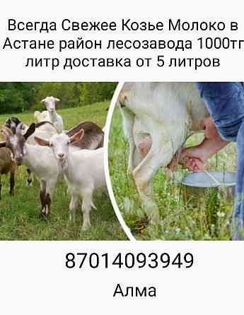 Козье молоко в Астане Astana