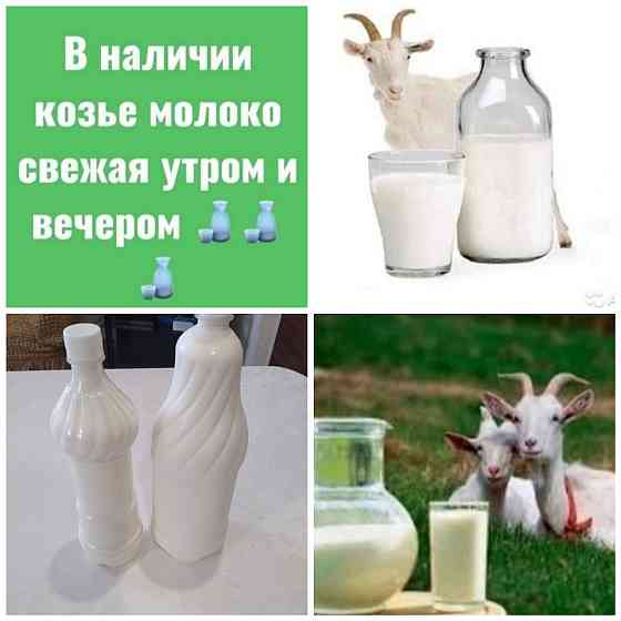 Козье молоко от заанеских молочных коз  Астана