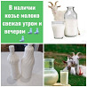 Козье молоко от заанеских молочных коз Astana