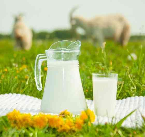Козье молоко натуральное Кендала