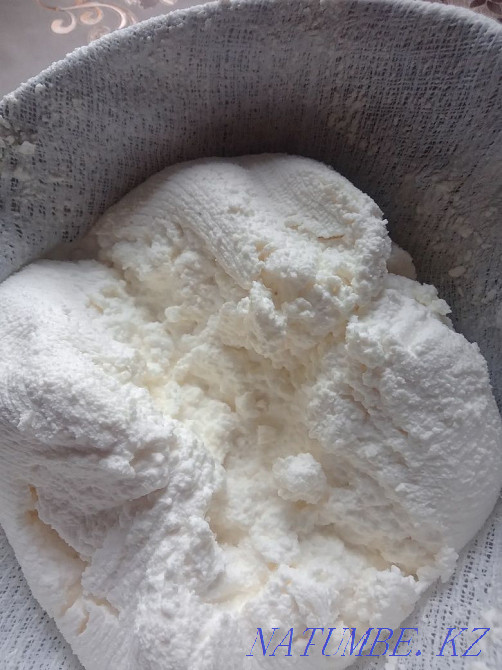 Продам свеже сваренный козий творог с цельного молока продам молок Усть-Каменогорск - изображение 1
