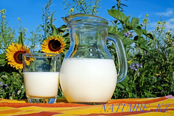 Продается козье молоко 900 тнг литр Уральск - изображение 1