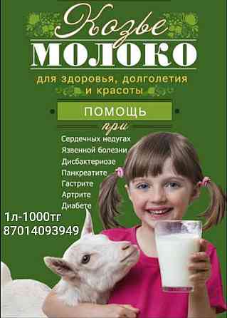 Козье молоко от заанеских молочных коз Astana