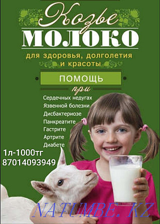Goat milk from Zaanes dairy goats Astana - photo 1