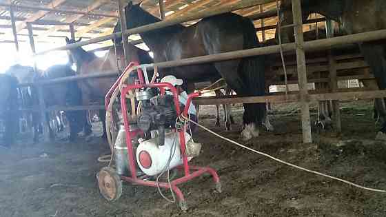 БИЕ СИЫР ЕШКІ сауатын аппарат - Доильный аппарат для кобыл коз коров Shymkent