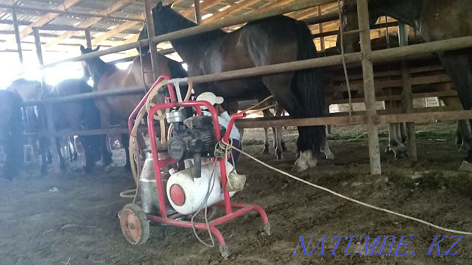 BIE SIYR ESHKI sauatyn machine - Milking machine for mares goats cows Shymkent - photo 3