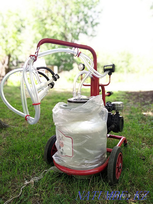BIE SIYR ESHKI sauatyn machine - Milking machine for mares goats cows Shymkent - photo 2
