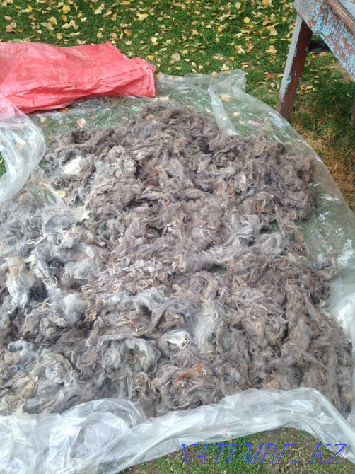 Goat down 15.000 per kg Almaty - photo 1