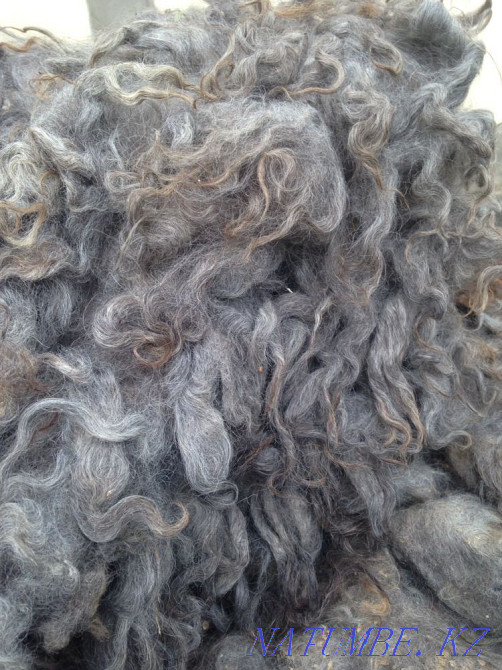 Goat down 15.000 per kg Almaty - photo 4
