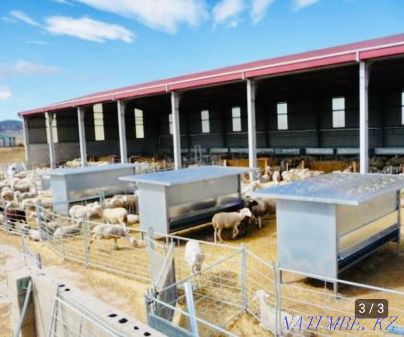 Овцы козы: Кормушки закрытого типа для овец и коз Шипмастер-Казахстан  - изображение 3