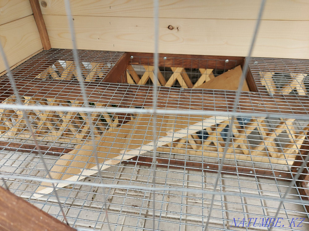 Decorative house-cottage for rabbits Petropavlovsk - photo 4