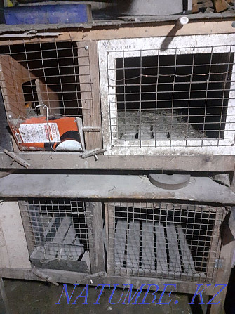 I will sell a cage for rabbits. Semey - photo 2