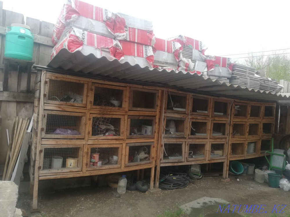 Клетка для кроликов. Костанай - изображение 3