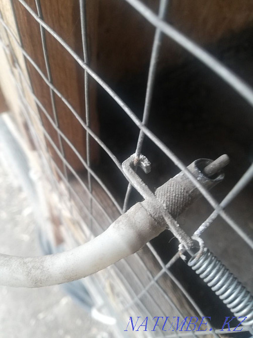 Клетка для кроликов. Костанай - изображение 4