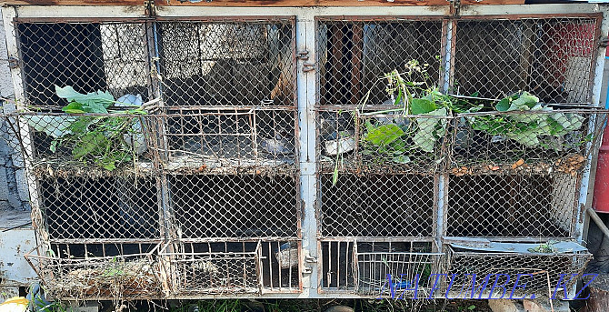 Rabbit cage Lenger - photo 1