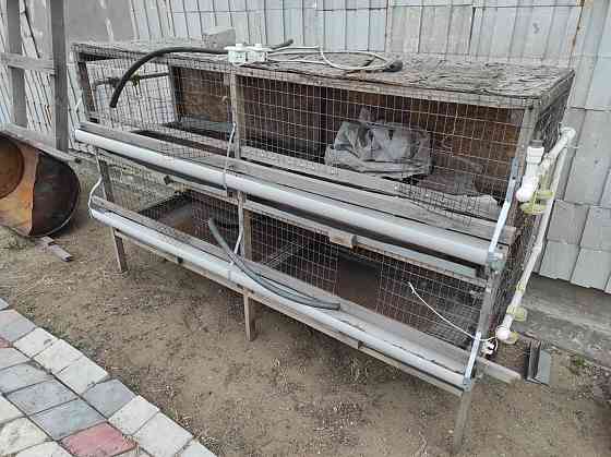 Клетка для кур и кроликов Pavlodar