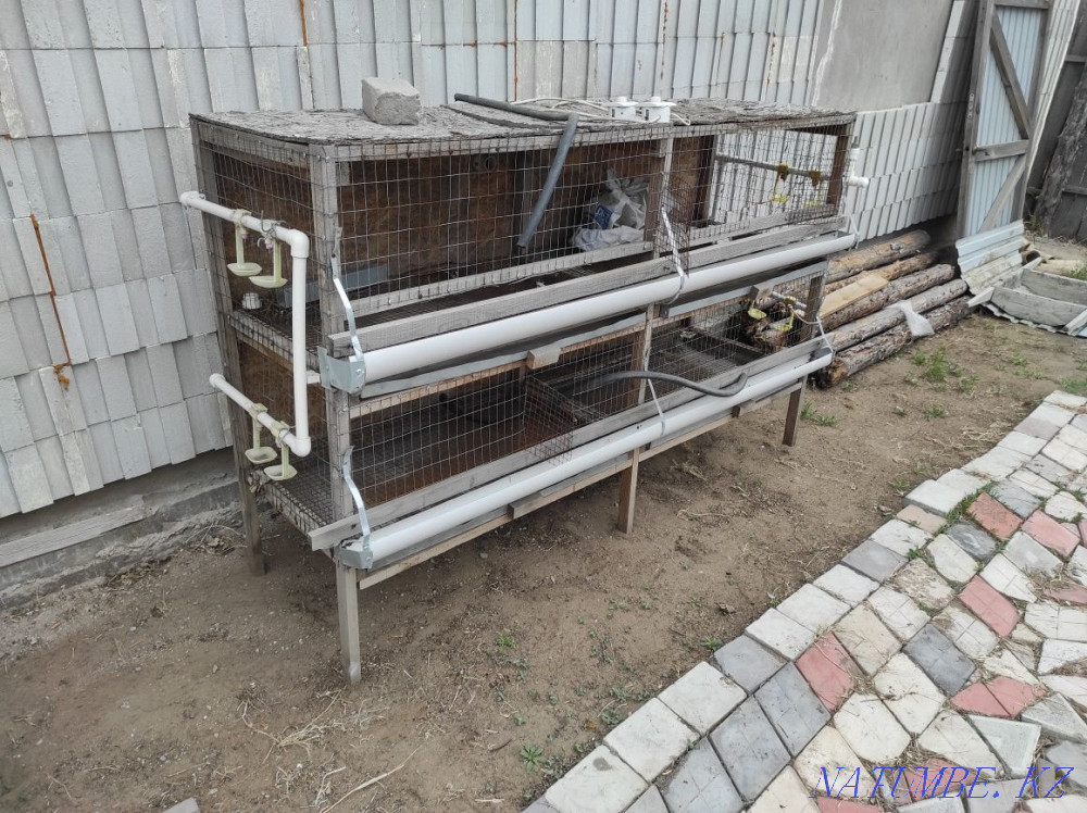 Cage for chickens and rabbits Pavlodar - photo 1