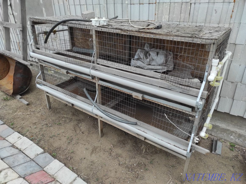 Cage for chickens and rabbits Pavlodar - photo 2