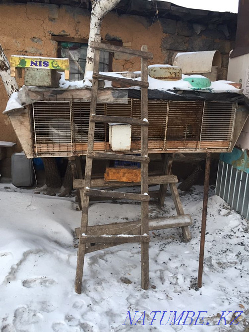 Cages for rabbits Kokshetau - photo 2