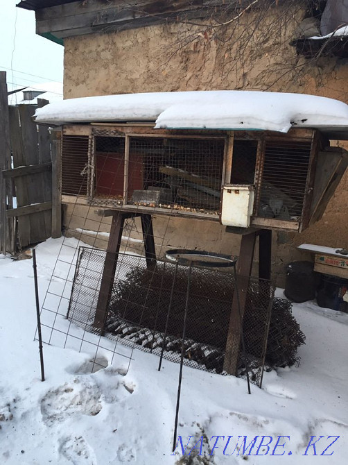 Cages for rabbits Kokshetau - photo 1