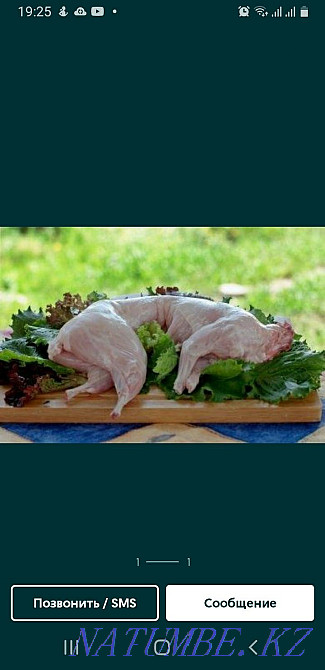 Мясо кроликов, ?оян еті Шымкент - изображение 1