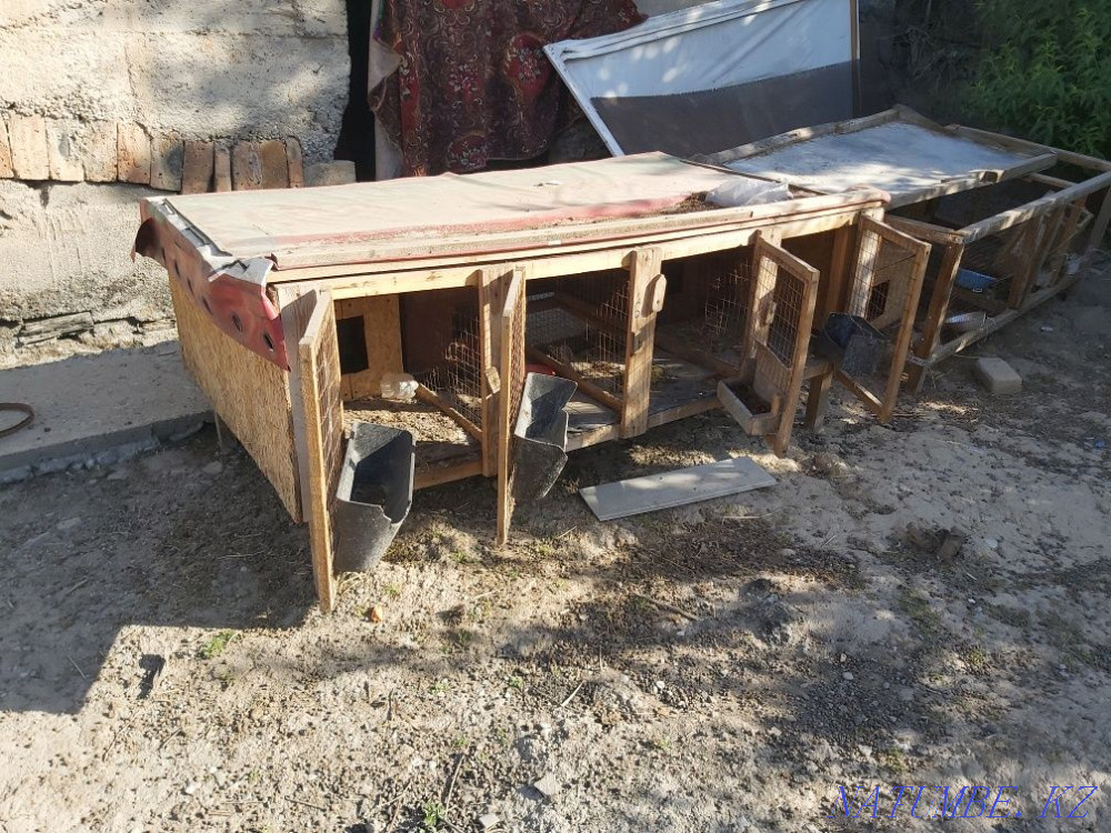 Cage for rabbits and birds Shymkent - photo 1