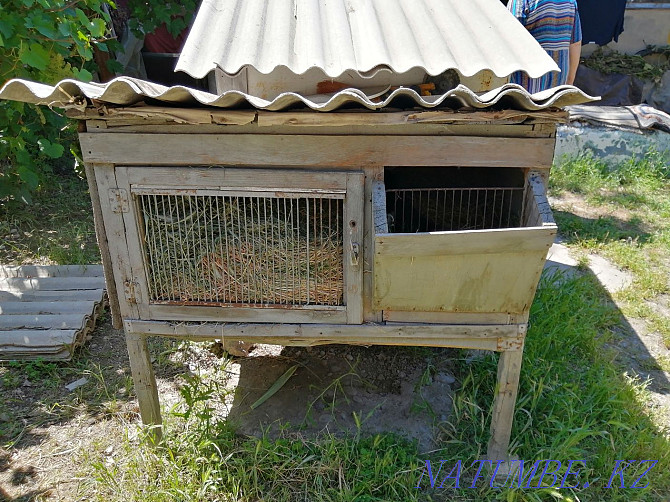 Rabbit cages Shymkent - photo 3