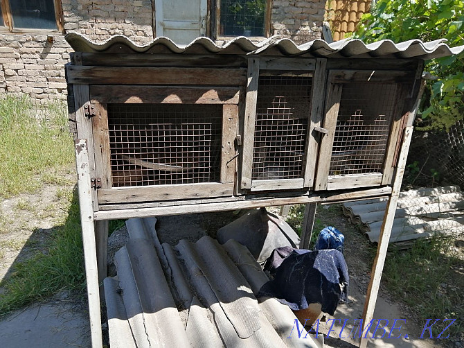 Rabbit cages Shymkent - photo 2