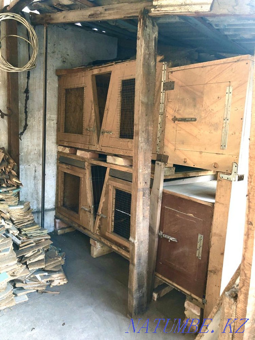 Rabbit cages Almaty - photo 2