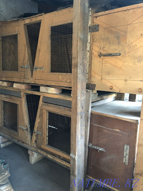 Rabbit cages Almaty - photo 3