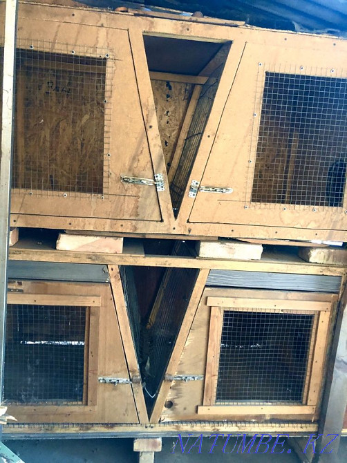 Rabbit cages Almaty - photo 4