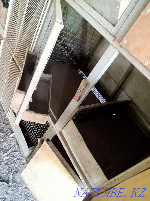 I will sell the correct cage for rabbits Urochishche Talgarbaytuma - photo 3