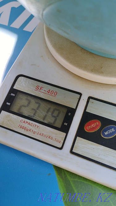 Бургундские кролики Шымкент - изображение 3