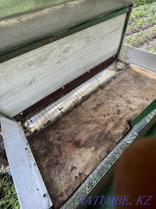 Cages for rabbits Kostanay - photo 2