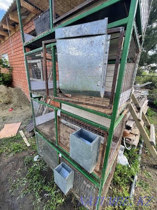 Cages for rabbits Kostanay - photo 3