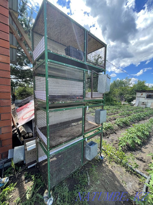 Cages for rabbits Kostanay - photo 1