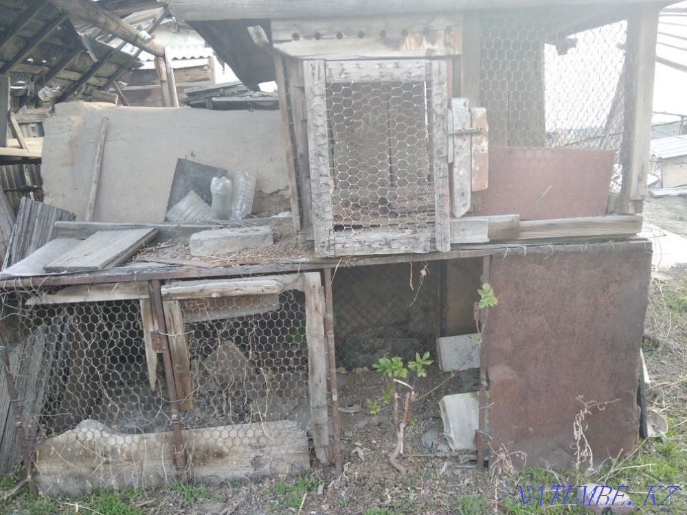 Продам клетки для кроликов можно держать циплят Уштобе - изображение 1