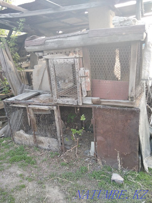 Продам клетки для кроликов можно держать циплят Уштобе - изображение 2