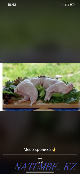 Rabbit meat Almaty - photo 1