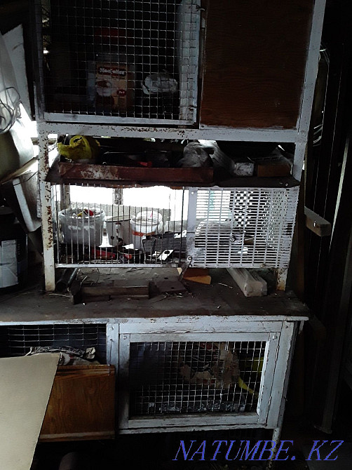 Sell cages for rabbits Petropavlovsk - photo 1