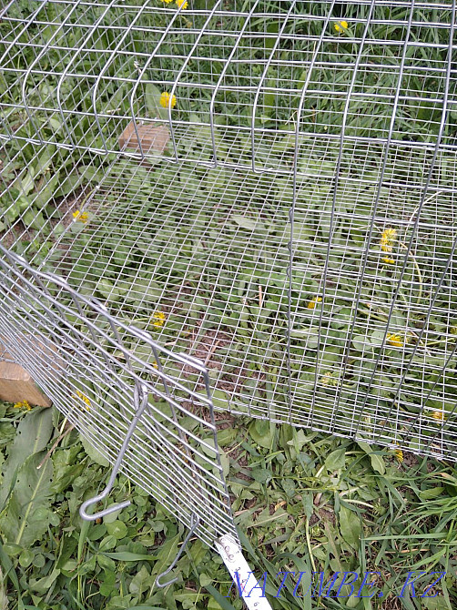 Sell cages for rabbits, quails, broilers Almaty - photo 4