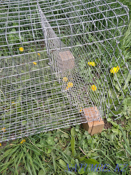 Sell cages for rabbits, quails, broilers Almaty - photo 3