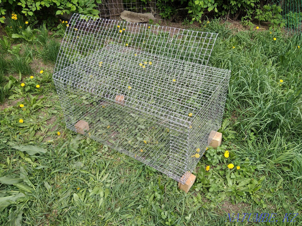 Sell cages for rabbits, quails, broilers Almaty - photo 1