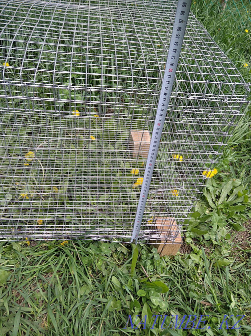 Sell cages for rabbits, quails, broilers Almaty - photo 2